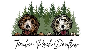 Timber Rock Doodles